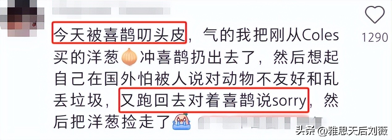 留学生朋友圈人设_留学生真实生活_留学国家选择