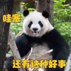 年底银行存钱3个技巧!收益翻4倍!直接躺平吃利息! | 星尘资源网