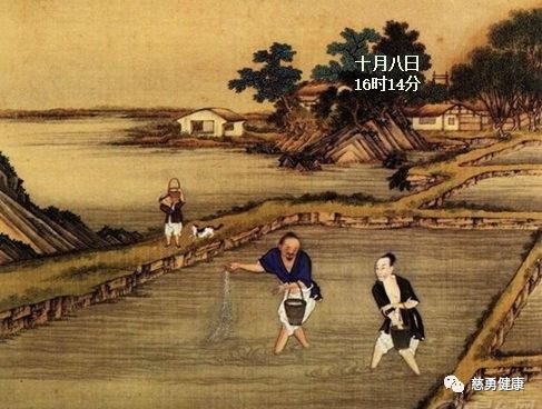 节气养生︱寒露:风俗•饮食•穴位 | 星尘资源网
