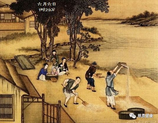 节气养生︱芒种:风俗•饮食•穴位 | 星尘资源网