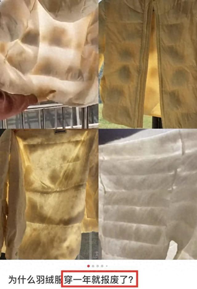为什么内行买羽绒服先看“吊牌”?没有这行字别买!很多人都不懂 | 星尘资源网