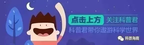 使用新砧板一定要消毒!!新砧板清洗消毒的小妙招有哪些? | 星尘资源网