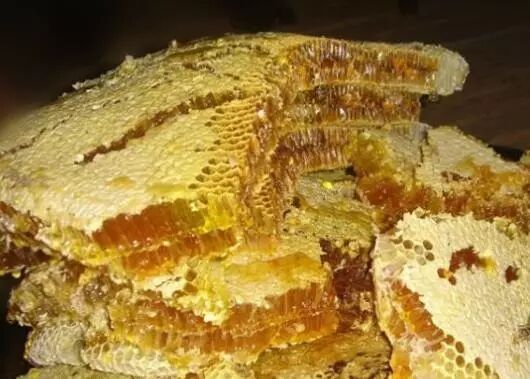 蜂蜜真假辨别方法 这些你必须知道 | 星尘资源网