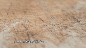 分类砧板 专板专用_小麦砧板 抗菌防霉_砧板材质选择
