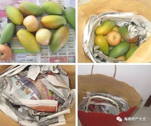 芒果催熟方法_芒果催熟方法_海南芒果催熟技巧