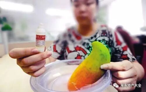 海南芒果催熟技巧_芒果催熟方法_芒果催熟方法