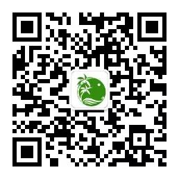 海南芒果催熟技巧_芒果催熟方法_芒果催熟方法