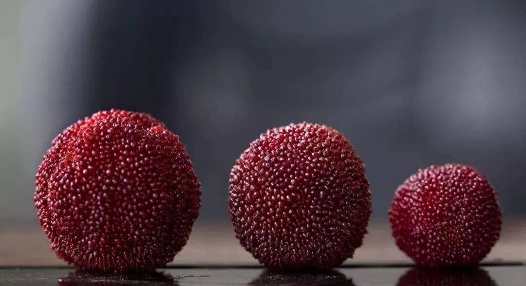 端午节杨梅怎么洗才干净_杨梅挑选方法_杨梅清洗方法