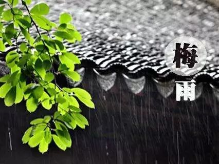 梅雨季节已来到 防霉除霉有妙招 | 星尘资源网