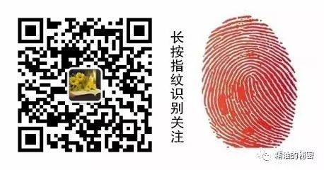 茶树精油驱螨方法_衣柜除螨方法_除螨精油配方