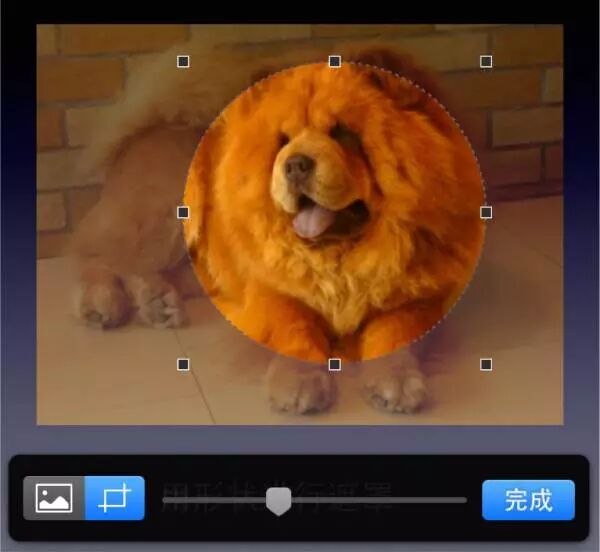 使用keynote去除背景颜色单一轮廓清晰的图片_使用keynote处理背景颜色单一轮廓不清晰的图片_图片处理技巧