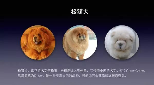 图片处理技巧_使用keynote去除背景颜色单一轮廓清晰的图片_使用keynote处理背景颜色单一轮廓不清晰的图片