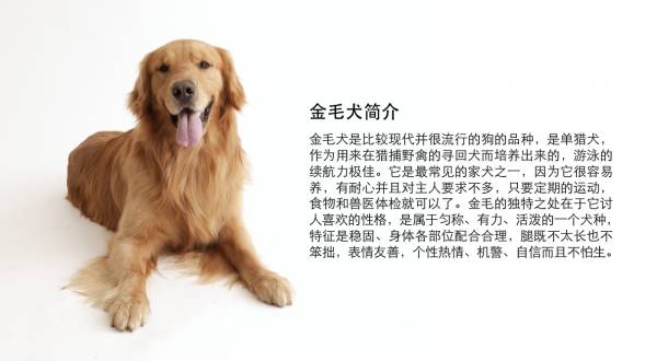 图片处理技巧_使用keynote处理背景颜色单一轮廓不清晰的图片_使用keynote去除背景颜色单一轮廓清晰的图片
