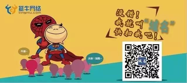 你可能不全知道的“域名投资不可或缺的技巧”! | 星尘资源网