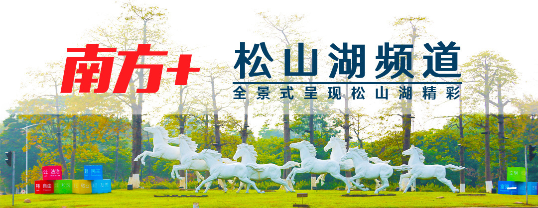全面解读政策干货,松山湖加速科技政策落地 | 星尘资源网