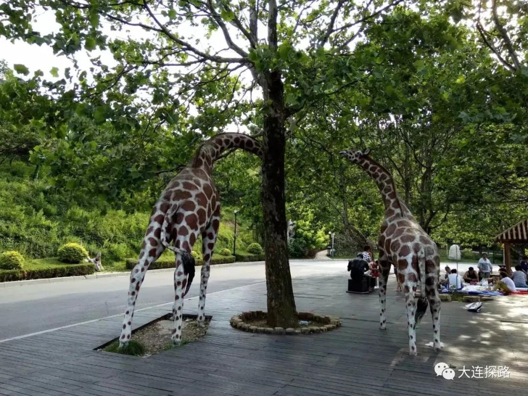 大连亲子景点_大连适合孩子的徒步路线_大连亲子登山公园