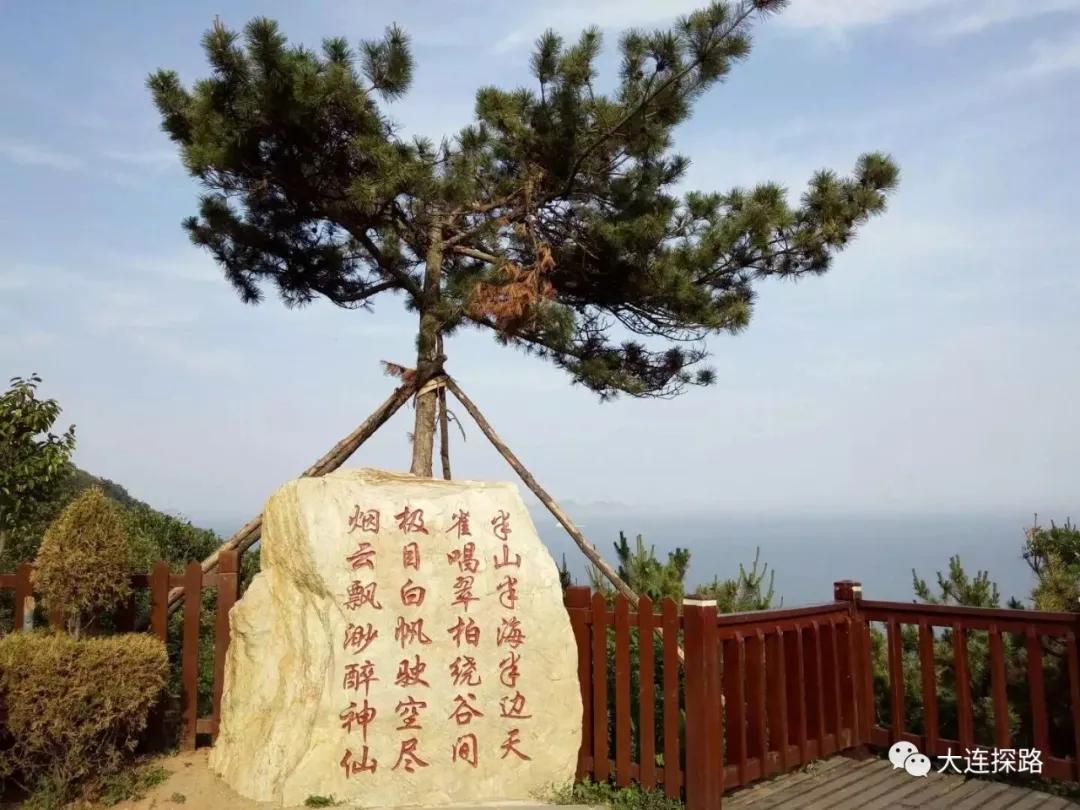 大连亲子景点_大连适合孩子的徒步路线_大连亲子登山公园