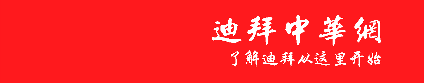 【视频】“中看迪拜”迪拜护照更换指南和新的规定！ | 星尘资源网