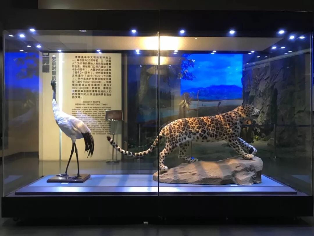 渭南博物馆参观指南 | 星尘资源网