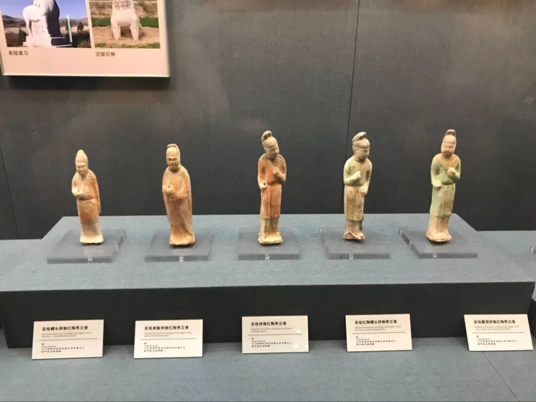 渭南博物馆免费参观攻略_渭南博物馆岁月如歌展览指南_博物馆参观攻略