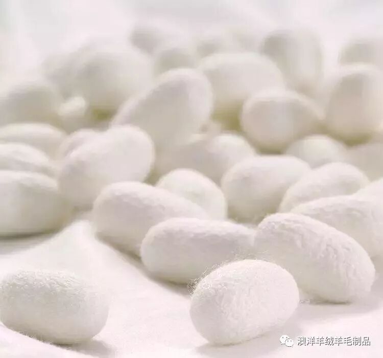 【质量知识】真丝围巾鉴别方法和保养常识 | 星尘资源网