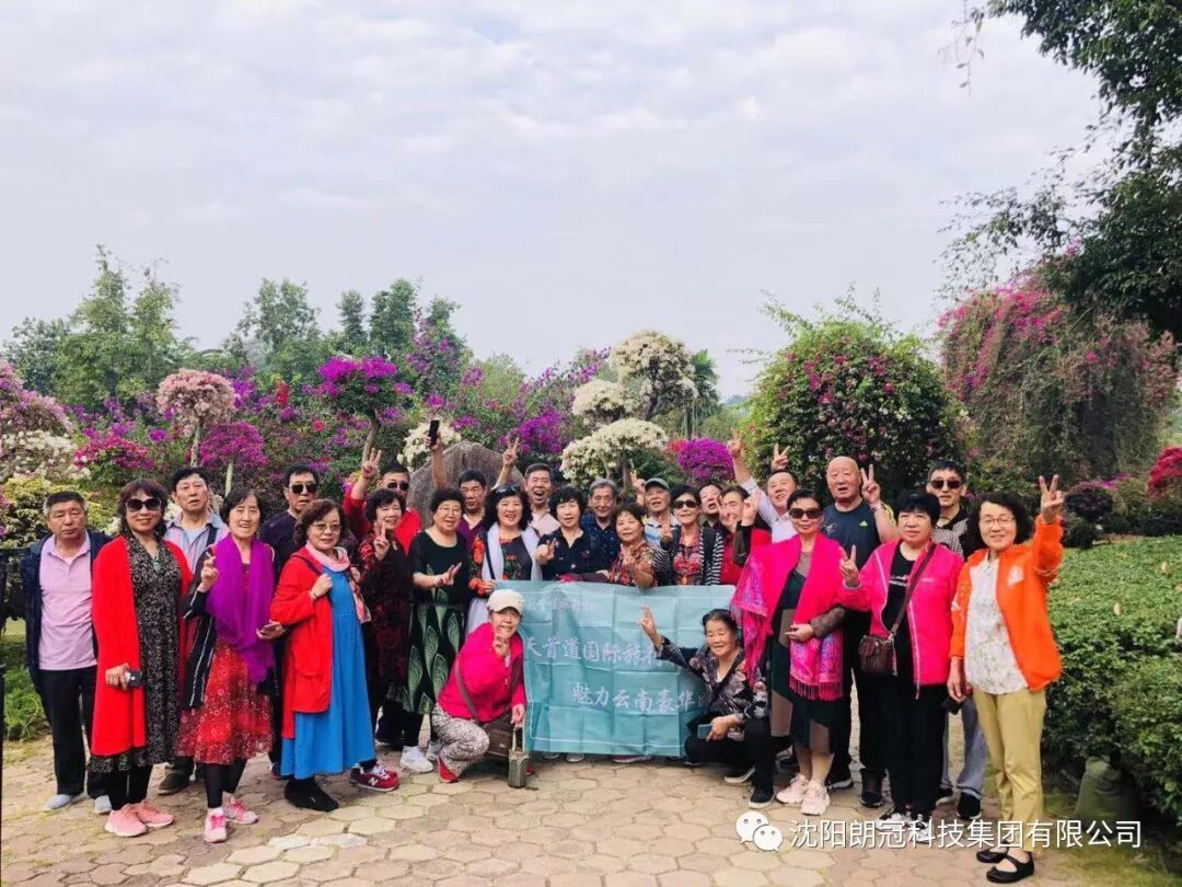 云南旅游攻略游记_老年旅游注意_云南自由行与报团对比