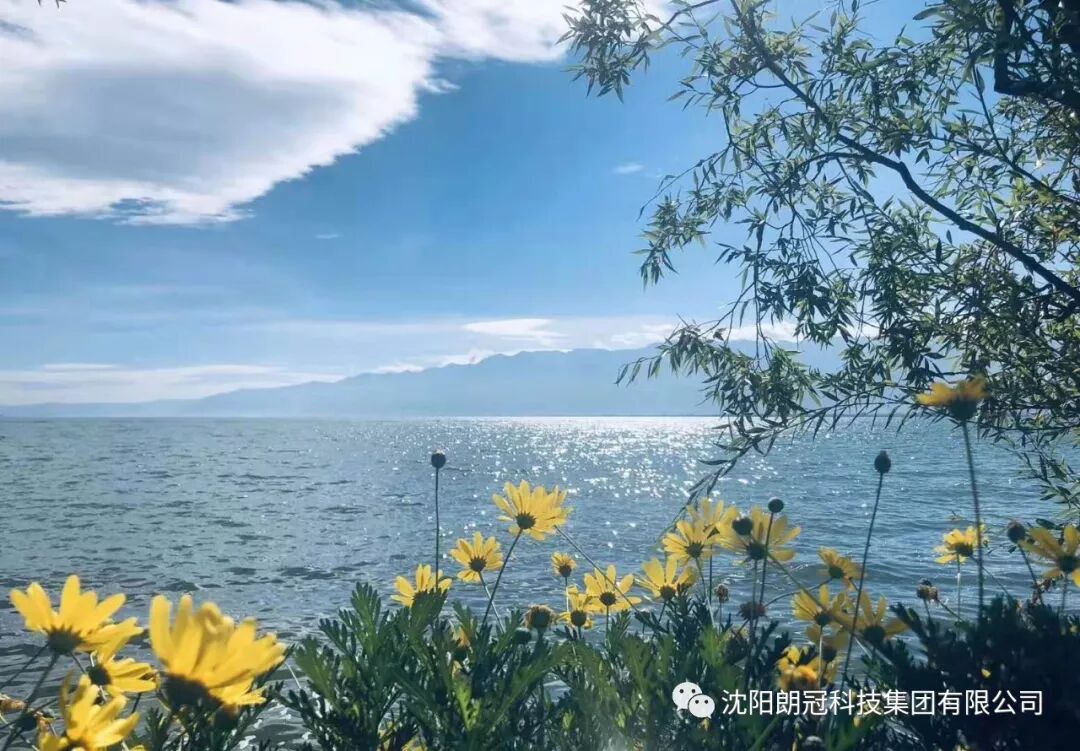 老年旅游注意_云南自由行与报团对比_云南旅游攻略游记