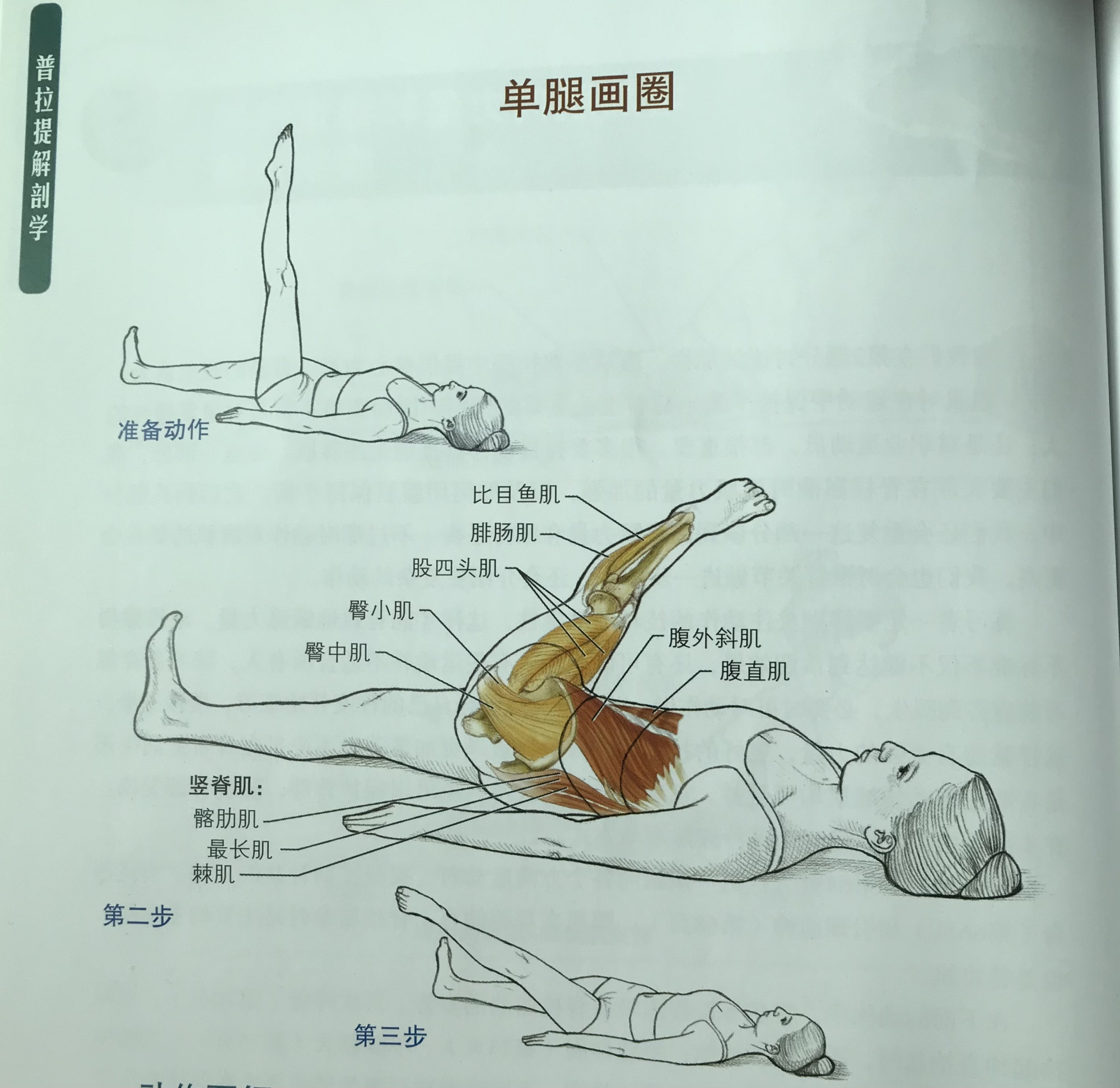 核心训练躺着练_普拉提单腿画圈_普拉提训练效果