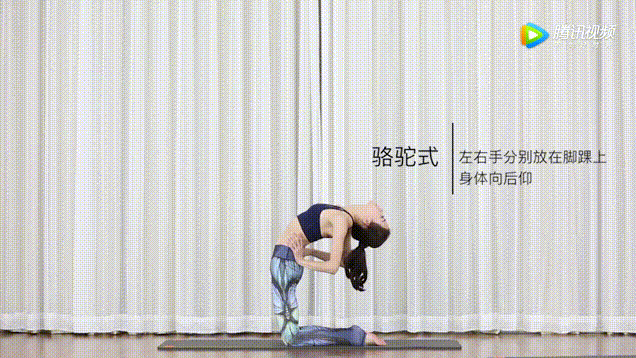 初学者瑜伽练习系列图解_瑜伽入门基础动作动图_瑜伽入门教程