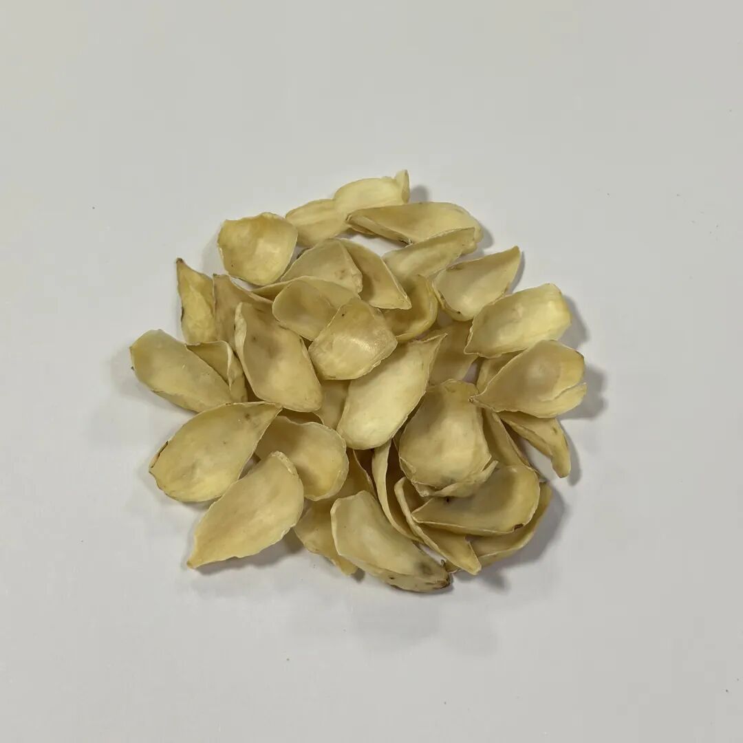 七夕养生食谱_中药情书食谱_中药调理食谱