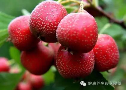 高血压吃什么水果对身体好_高血压饮食_高血压不能吃什么水果