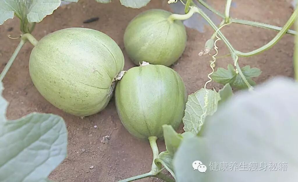 高血压不能吃什么水果_高血压吃什么水果对身体好_高血压饮食