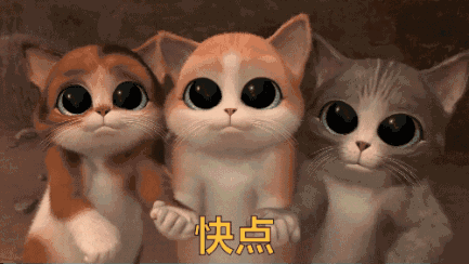 耳部护理常识_猫咪耳朵清洁_猫咪耳螨症状