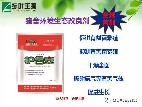 123综合保健防控法---猪呼吸道疾病 | 星尘资源网