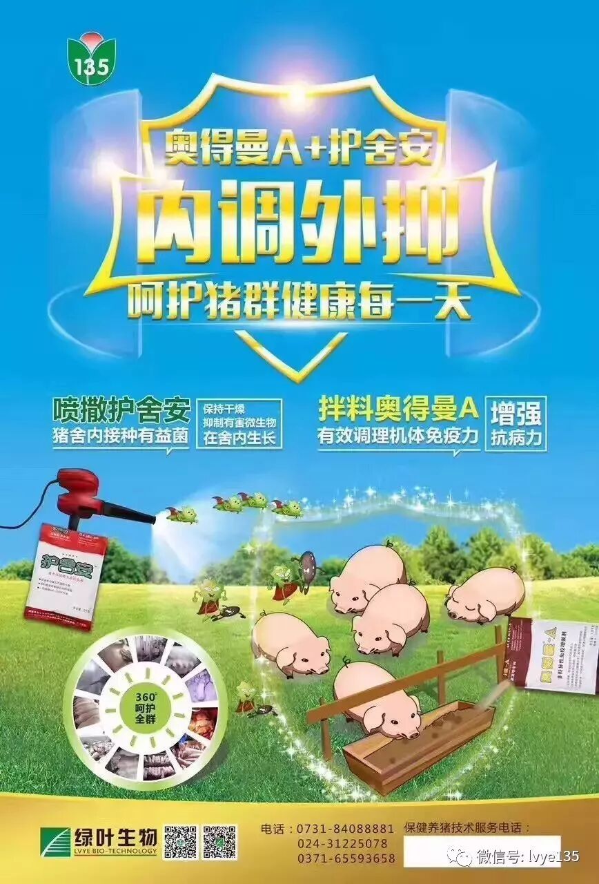 保护猪呼吸道屏障_控制猪舍空气质量_呼吸道保健