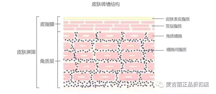敏感肌肤修复_麦吉丽基因修复啫喱_敏感肌修复