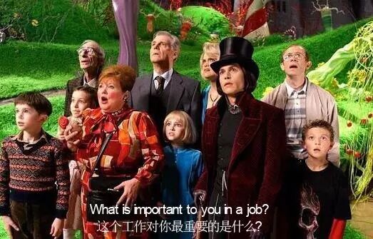 What is important to you in a job_外企面试准备_Why should we employ you