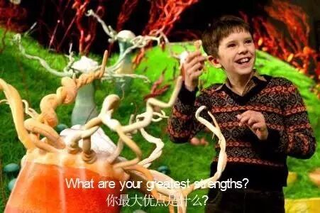 What is important to you in a job_Why should we employ you_外企面试准备