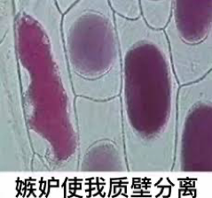 量子波动速读_量子力学教育_网课学习技巧