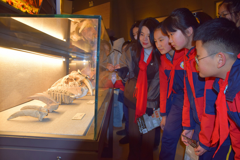 泥河湾博物馆研学活动_研学旅行意义_溯源东方人类故乡研学体验
