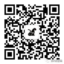 MACD顶背离与底背离详解_MACD 指标应用_MACD指标背离