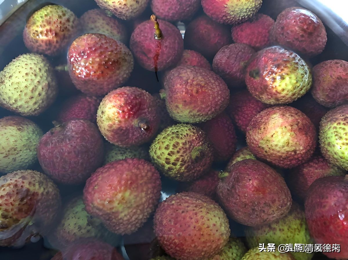 荔枝放冰箱三天变黑_果农教你在家存半年_荔枝保鲜技巧