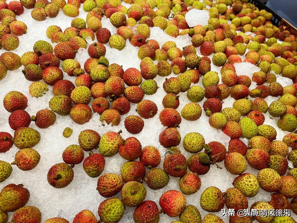 荔枝放冰箱三天变黑_果农教你在家存半年_荔枝保鲜技巧