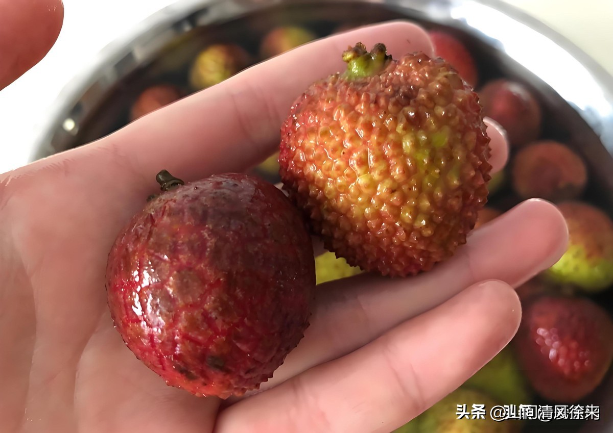 荔枝保鲜技巧_荔枝放冰箱三天变黑_果农教你在家存半年