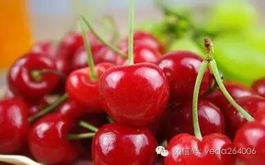如何保存新鲜樱桃_樱桃保鲜技巧_烟台大樱桃科学保存方法