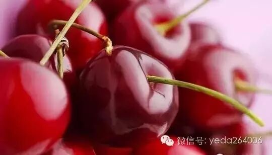 如何保存新鲜樱桃_樱桃保鲜技巧_烟台大樱桃科学保存方法