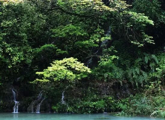 高过河漂流门票直播活动_神秘嘉宾做客直播间送漂流门票_高过河刺激漂