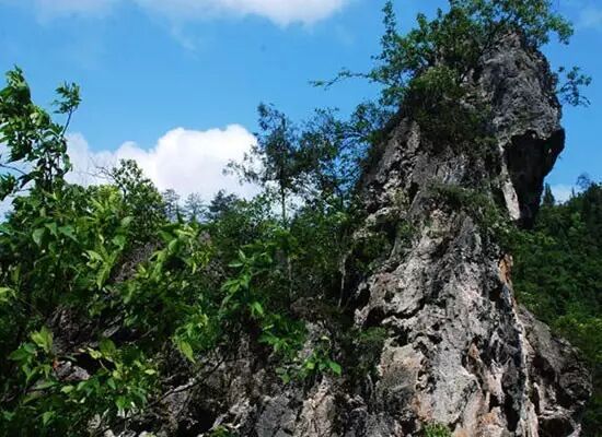 高过河刺激漂_神秘嘉宾做客直播间送漂流门票_高过河漂流门票直播活动
