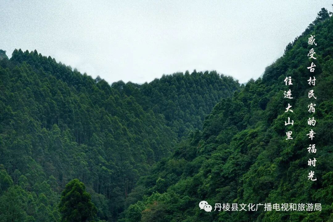 住进大山里,感受古村民宿的幸福时光~ | 星尘资源网
