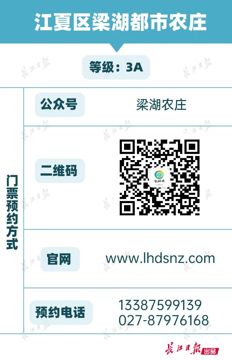 武汉五一游轮预约_景区预约技巧_武汉A级景区五一预约